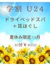 【学割　U24】ドライヘッドスパ＋耳ほぐし30分￥4000
