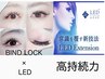 LEDバインド or   LEDダブルフラット　60束　¥6000