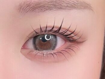 N/上下マツエク