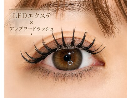 ビー(Be.)の写真