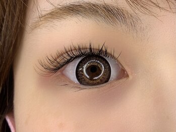 エーアイ 浅草橋(Ai)/フラットラッシュ