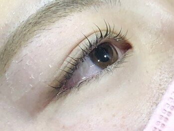 ピクシーボブ(Pixie Bob)/★マツパ、根本からカール