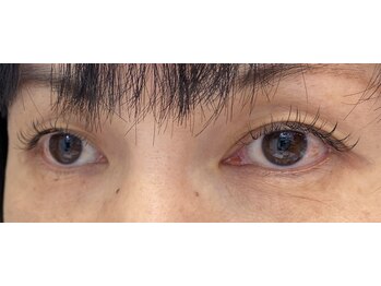 ジョリー(Jolie)/