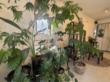 パームココ(palmcoco)の雰囲気（居心地の良い貸切プライベート空間♪北参道/千駄ヶ谷/新宿御苑）