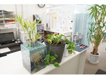 あおい接骨院/店内写真【整体/春日井/愛知】