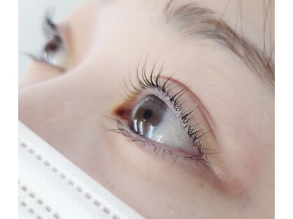 チステ(chiste)の写真