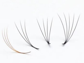 オルテンシア 六本松(ORTENSIA)/ボリュームラッシュ