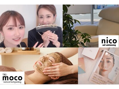 ニコ(nico)の写真