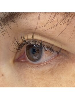 ジョリー(Jolie)/