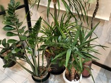 ククナ(Kuku-na)の雰囲気(*こだわりの店内*)