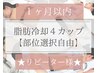 痩身|１ヶ月以内【脂肪冷却・自由選択】ご希望の箇所４カップ☆(※詳細必読)