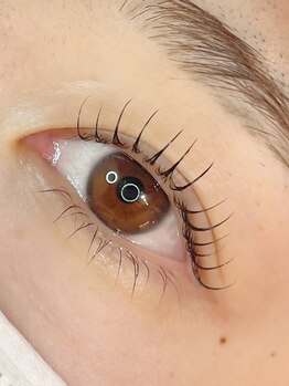 ディアリー ミミ(Dearly mimi)の写真/丁寧なカウンセリングと施術で初めてのまつげパーマ＆マツエクにもオススメ♪似合わせデザインをご提案◎
