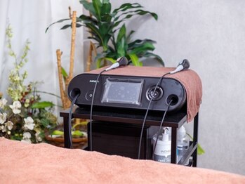 スリーピングビューティー(Sleeping Beauty)/