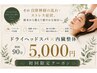 【自律神経の乱れ・ストレス症状】ドライヘッドスパ×内臓整体 初回90分 