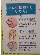 プラスファイン(+fine)/フォースカッターの脂肪燃焼