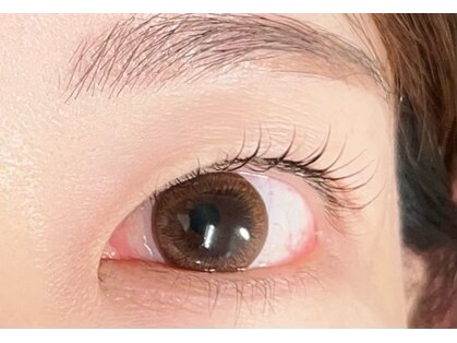 リトル アビー(Little Aby)の写真