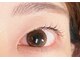 リトル アビー(Little Aby)の写真