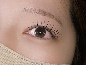 デア(DEA)/フラットラッシュ120本