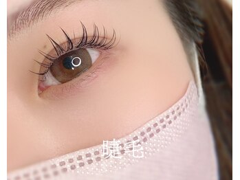 981/本町｜パリエク