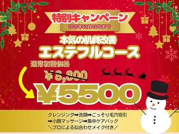 エスプラス エヌプラス(S+/N+)