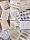 キミネイル(Kimi nail)の写真/【視線を集める指先へ!】高技術ネイルを嬉しい価格で実現♪(オフ込み)人気No.1 ワンカラーが嬉しい価格