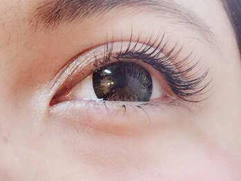 バモス(Vamos)/セーブル120本☆