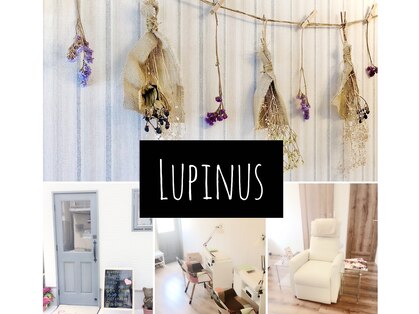 ネイルサロン ルピナス 今福店(NAIL SALON Lupinus)の写真