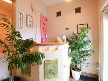 グレース/【お支払い方法】paypay・現金