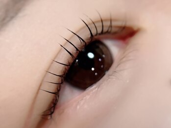 チュリップサカエ(Tulipe sakae)/カールデザインマツパ