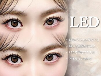 リアンラッシュ 上尾店(Rien Lash)/LED×フラットラッシュ
