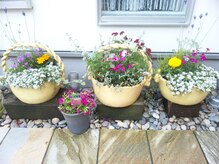 ともさか整体院/＃鴻池新田肩こり＃鴻池新田腰痛