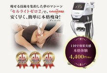 ソフィア(SOPHIA)