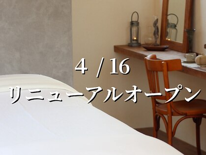 ハル(Haru)の写真