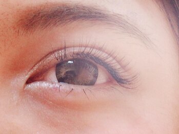 バモス(Vamos)/セーブル100本☆