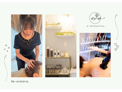 イーウィステリア 武蔵小杉(e-wisteria.)の写真