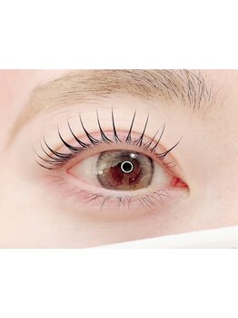 初めての方にオススメ