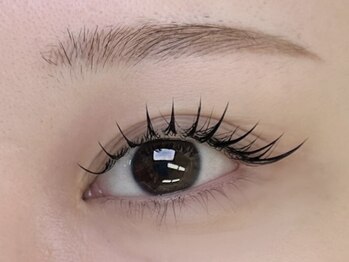 エイト(eight)の写真/自まつげの状態を丁寧に見極め、豊富なエクステの種類から最適なデザインをご提案♪