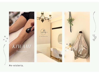 イーウィステリア 武蔵小杉(e-wisteria.)の写真