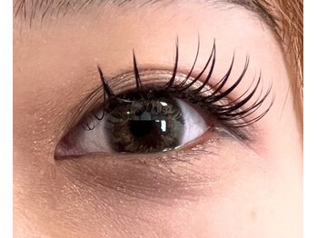 レスト(Rest)/フラットラッシュLED付け放題