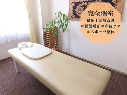 整体マイスターの写真