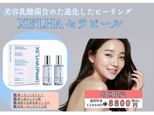 ティー(T)
