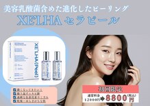 ティー(T)
