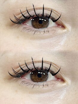 フルール(FLEUR)/バインドロック140束