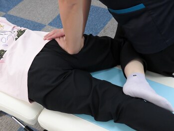 オステオン(Osteon.)/