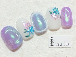 オーロラシェル紫陽花