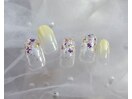 定額Design 押し花