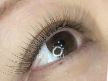 グランドール(GLANDOLL)/perfect lash 120束