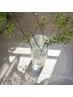 〈6月4名様限定！〉心と身体の湿気払いクーポン＊よもぎ蒸し&トリートメント