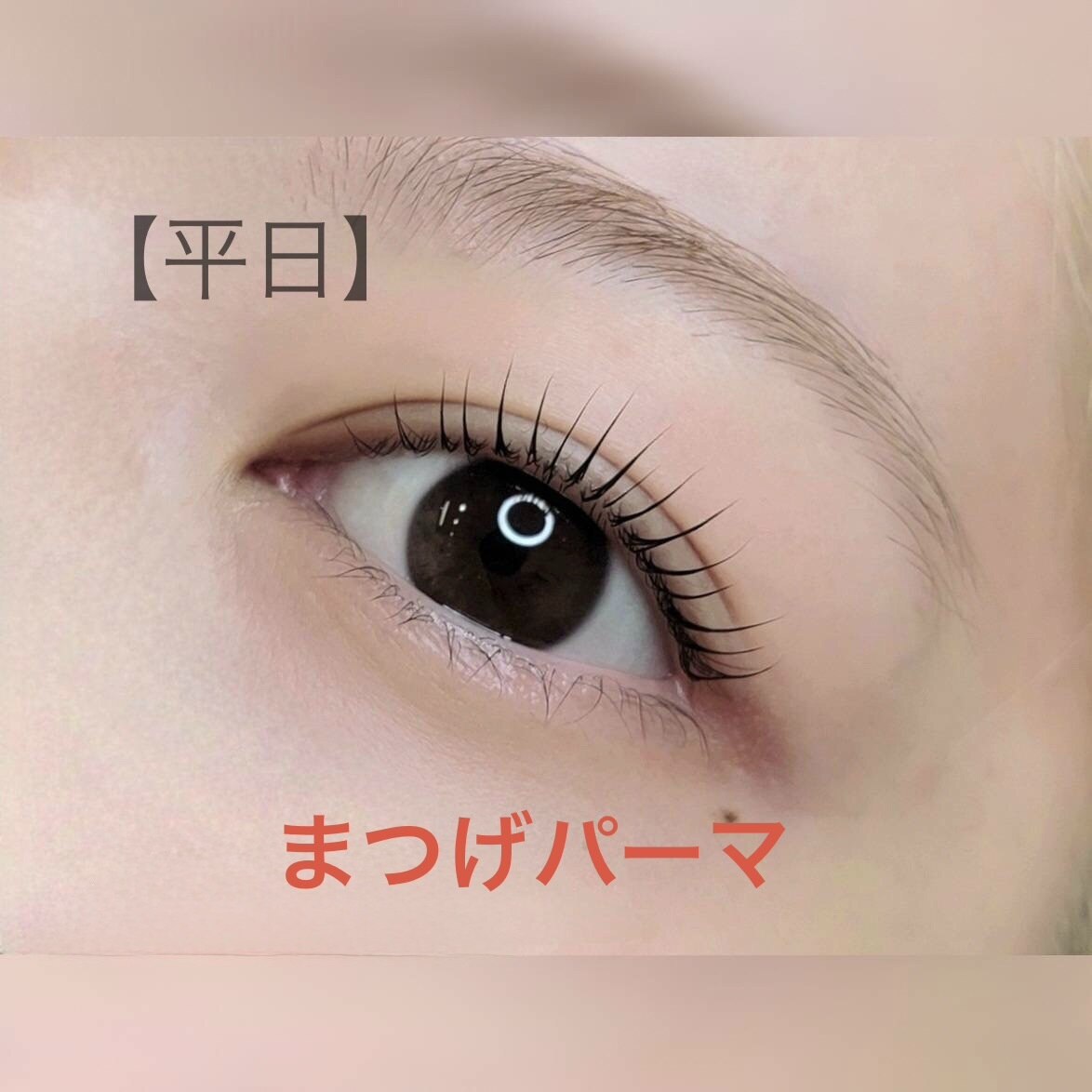 【平日限定】日本製美容液成分配合まつげパーマ　5,500円