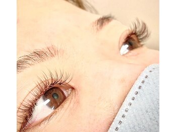 エイチアンドコー(H&Co.)/カラーエクステ　120束